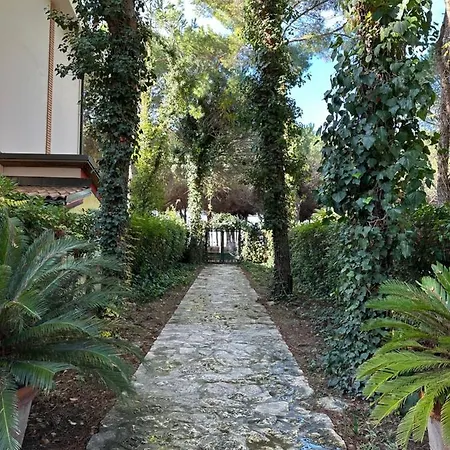 The House Apartment